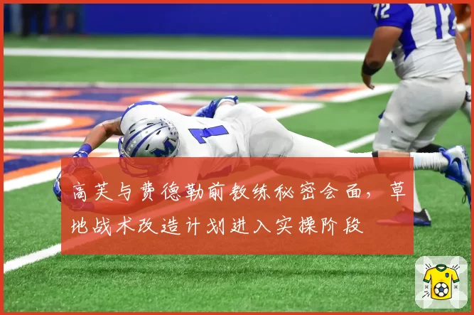 高芙与费德勒前教练秘密会面，草地战术改造计划进入实操阶段